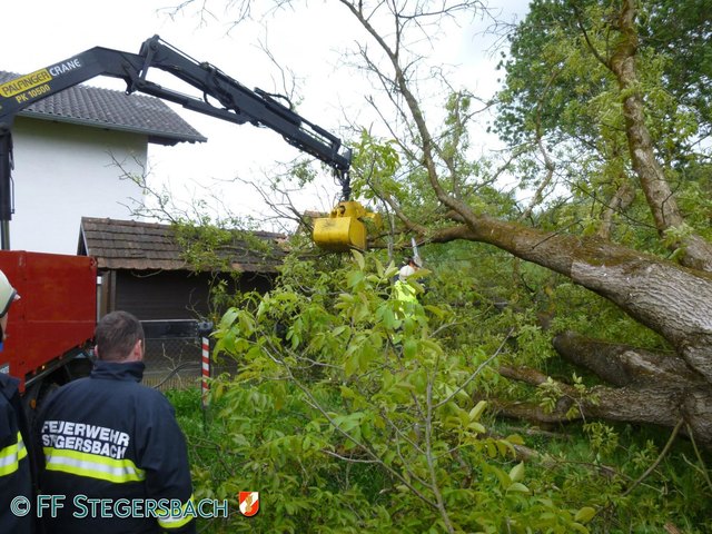Die Feuerwehr Stegersbach zerteilte den Baum und hievte die Teile mit einem Kran zur Seite. | Foto: Feuerwehr Stegersbach