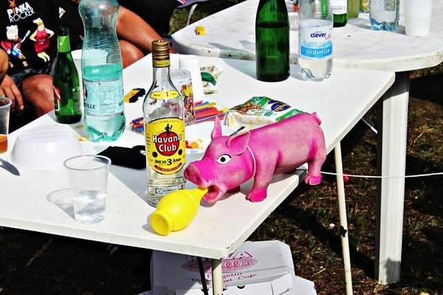 ...unsere Festival-Sau ;-)