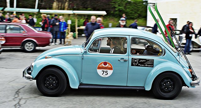 Ein Käfer auf großer Fahrt