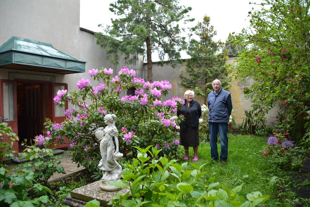 Helga und Walter Leitner leben mitten im Purgstaller Ortszentrum, wo sie im Innenhof ihres Hauses diesen schönen Rhododendron gepflanzt haben.