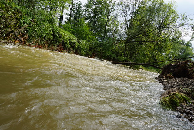 Erste Sonnenstrahlen nach dem Dauerregen. Der Fluss ist inzwischen wieder auf Mittelwasser zurückgegangen.