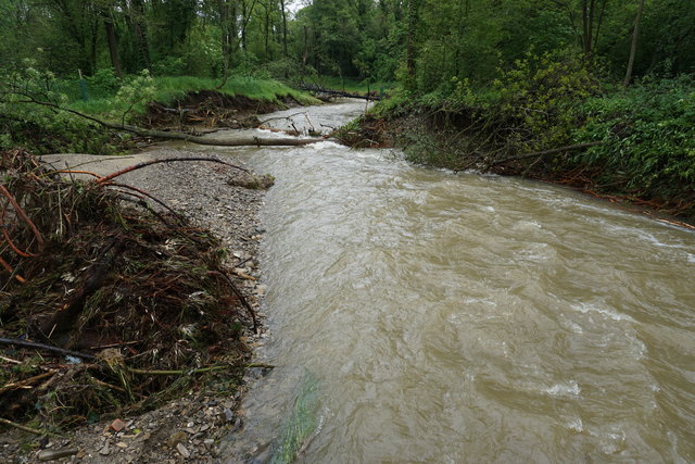 Das Ufer und die Flusssohle wurden "weich" gestaltet, das heißt nicht befestigt. Deshalb konnte der Fluss Ufer unterspülen und Kolke ausgraben.