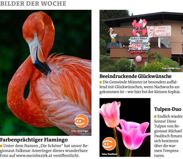 Bezirksblätter Kufstein KW21 Link zum Beitrag von Falkmar Ameringer: http://www.meinbezirk.at/953502 Link zum Beitrag von Michael Paulitsch: http://www.meinbezirk.at/926493