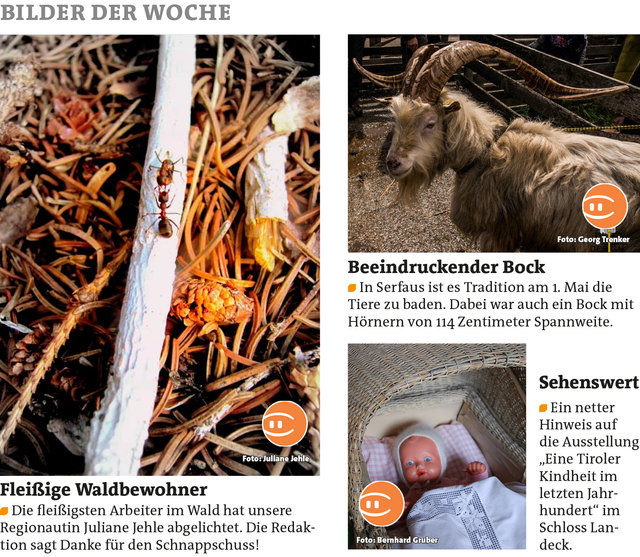 Bezirksblätter Landeck KW21 Link zum Beitrag von Juliane Jehle (Bock): http://www.meinbezirk.at/926215 Link zum Beitrag von Georg Trenker: http://www.meinbezirk.at/934760 Link zum Beitrag von Bernhard Gruber: http://www.meinbezirk.at/953399