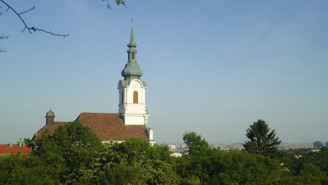 Ausg`steckt is beim Obermann im Weingarten in der Reinischgasse