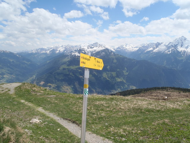 Abzweigung Brindlingalm Singletrail