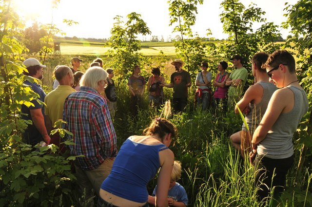 Abendliche Wanderung durch den Wald-Wasser-Garten in Eggendorf im Traunkreis | Foto: Foto Angelika Wohofsky 2014