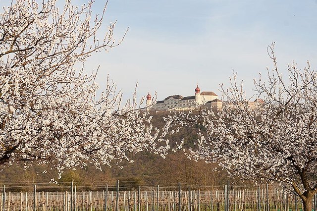 Foto: Jürgen Übl