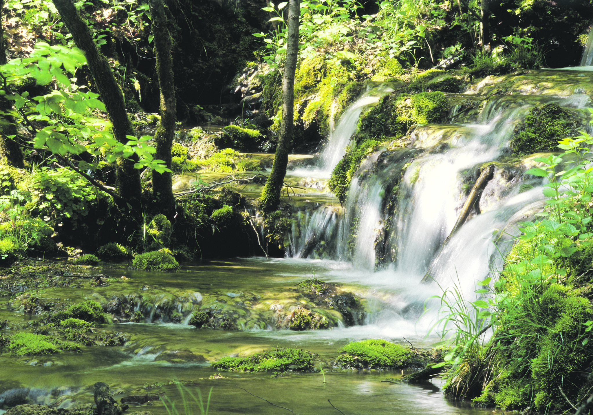 Baden im Fluss ist pure Erfrischung Scheibbs