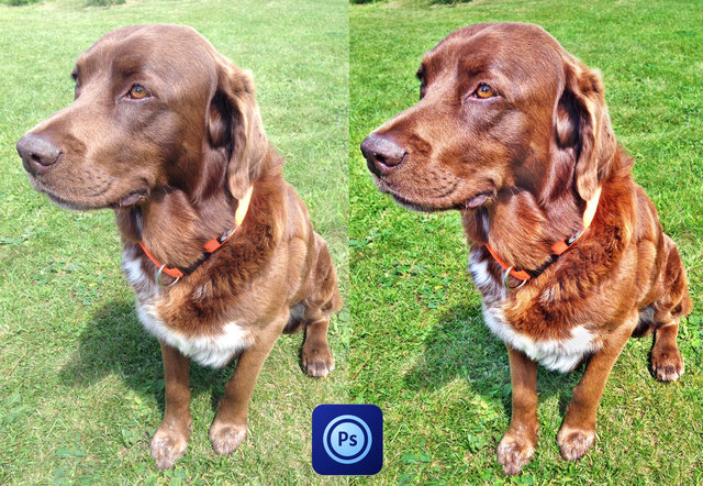 Vergleich- links ohne und rechts mit HDR Effekt Photoshop Touch!