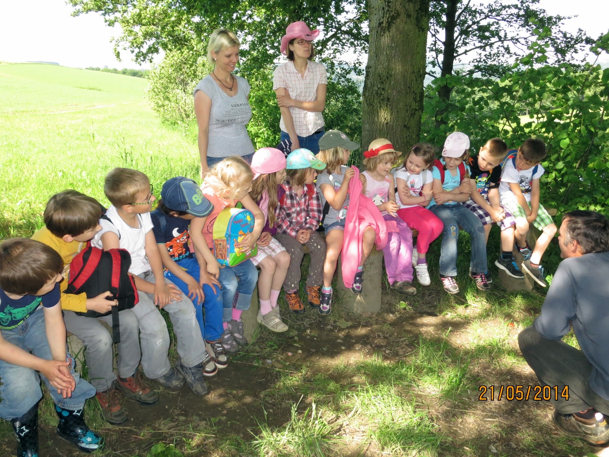 Waldpädagogik für Kindergartenkinder - Melk