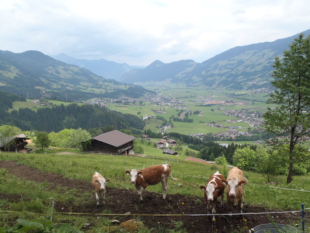 Kupfnerberg