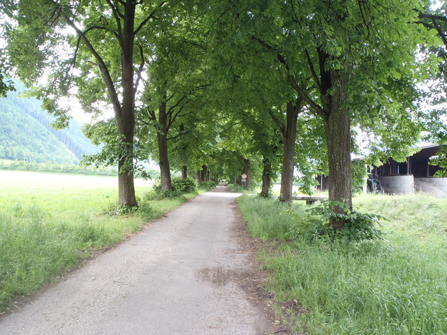 Strass Allee nach Rotholz