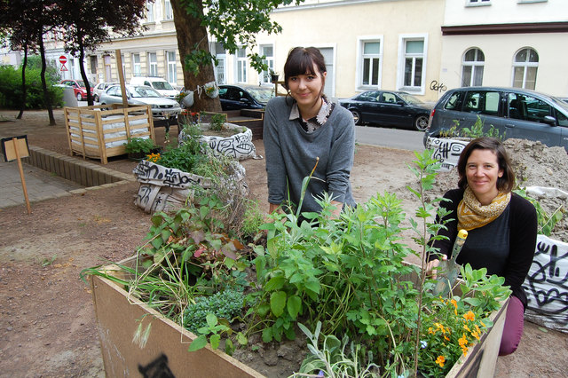 Barbara Mayer von der Gebietsbetreuung und Nina Keinrath vom ansässigen Atelier haben das Projekt ins Leben gerufen.