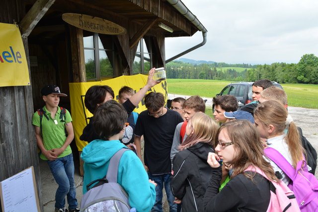 14 Schulklassen aus dem gesamten Bezirk Scheibbs nahmen insgesamt an den Waldjugendspielen am Lonitzberg teil.
