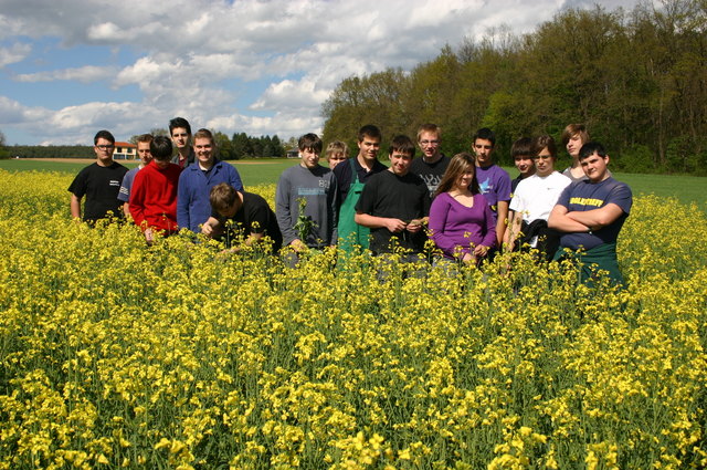 Am Mittwoch, dem 18. Juni, dreht sich beim Feldtag in der Landwirtschaftsschule alles um den Ackerbau. | Foto: LWFS Güssing