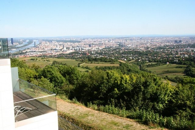 Der fantastische Ausblick vom Kahlenberg (c) Thomas Wolff