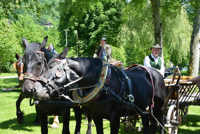 Foto August Schwertl.