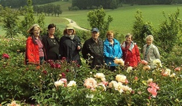 Inmitten der blühenden Pfingstrosen