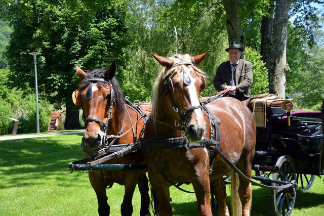 Foto August Schwertl :