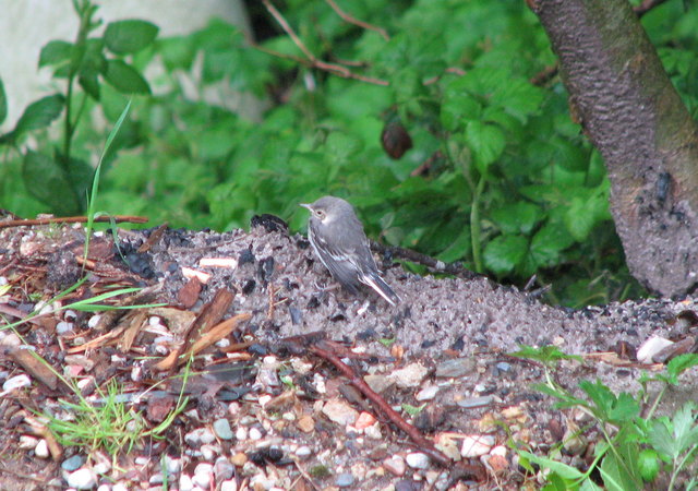 Aller Anfang ist schwer - sie ist noch ein wenig unsicher...