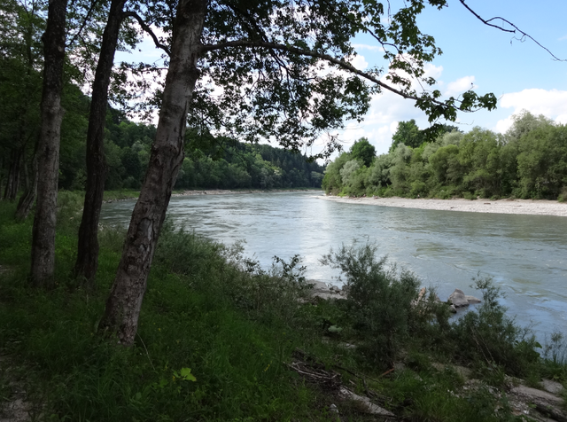 Blick über die Salzach auf die österreichische Seite
