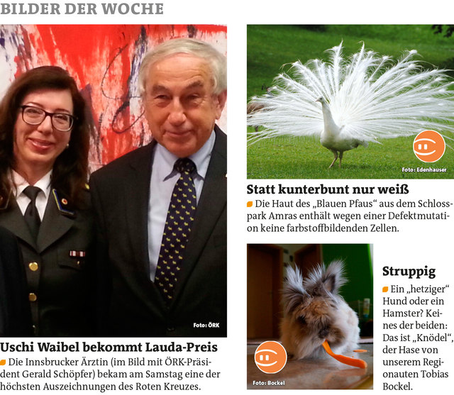 Bezirksblätter Hall-Rum + Stadtblatt Innsbruck KW22  Link zum Beitrag von Herbert Edenhauser: http://www.meinbezirk.at/961421  Link zum Beitrag von Tobias Bockel: http://www.meinbezirk.at/953252