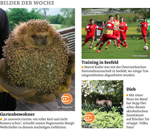 Bezirksblätter Telfs KW22 Link zum Beitrag von Margit Wellscheller: http://www.meinbezirk.at/958400 Link zum Beitrag von Sepp Fleischer: http://www.meinbezirk.at/956529