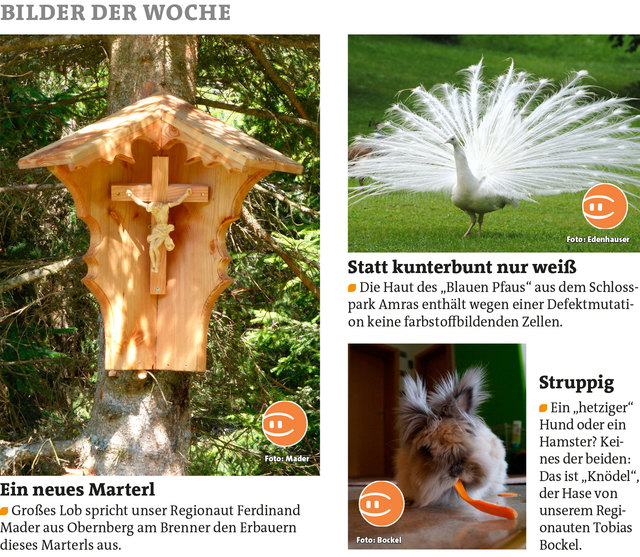 Bezirksblätter Stubai-Wipptal KW22  Link zum Beitrag von Ferdinand Mader: http://www.meinbezirk.at/963242  Link zum Beitrag von Herbert Edenhauser: http://www.meinbezirk.at/961421  Link zum Beitrag von Tobias Bockel: http://www.meinbezirk.at/953252