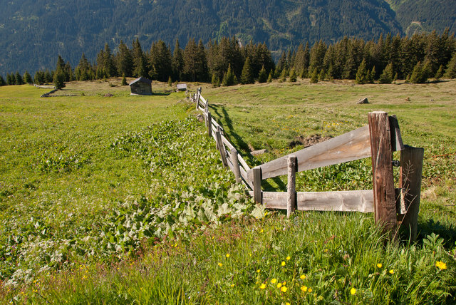 Streng geteilt sind die Bergwiesen