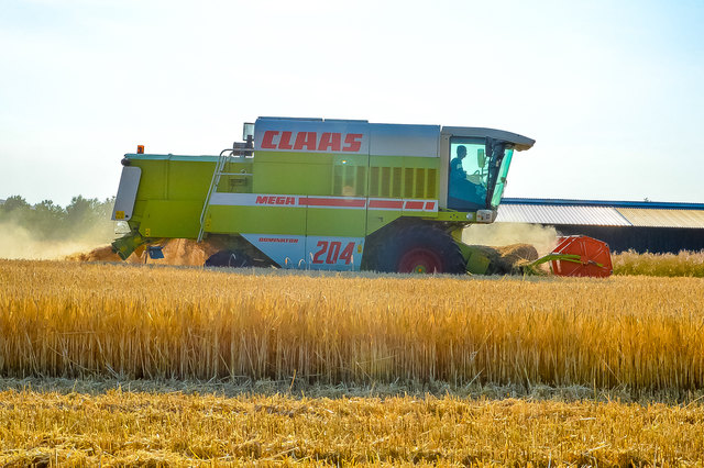 Hier wird die Wintergerste gerade geerntet. | Foto: Schlüsselberger