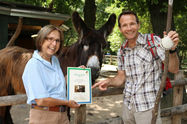 Tiergartendirektorin Dagmar Schratter, Alexander Rüdiger und Amelie (Poitou Esel)