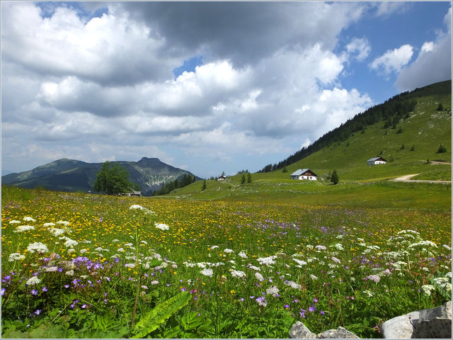 Im Hintergrund der Schmittenstein