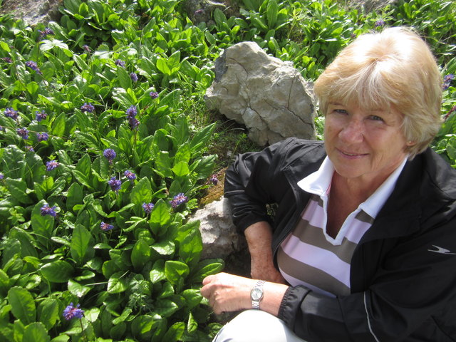 Rastplatz neben der Wulfenia am Naßfeld.