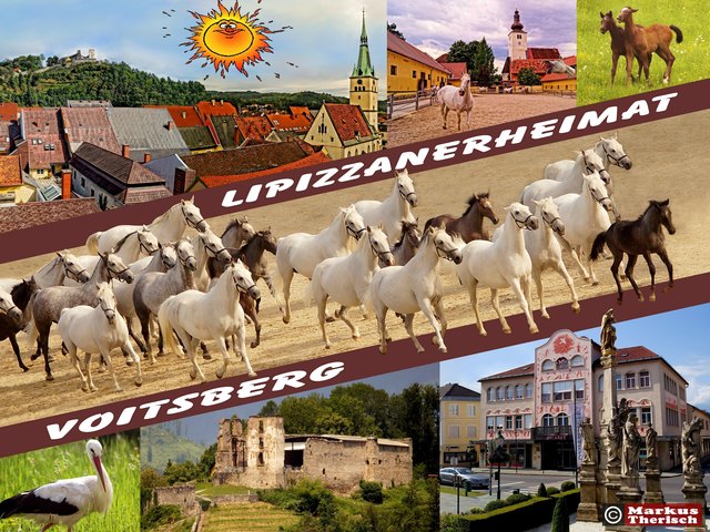 Lipizzaenerheimat! (Foto: Markus Therisch, Voitsberg)