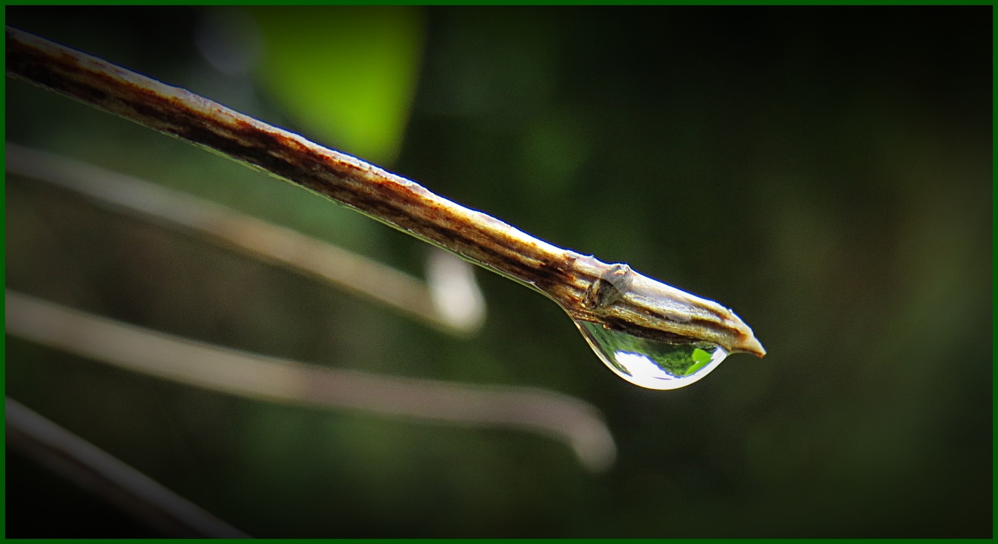 Der Tropfen Der Das Fass Zum überlaufen Bringt Oft genügt schon ein Tropfen, der das Fass zum Überlaufen bringt