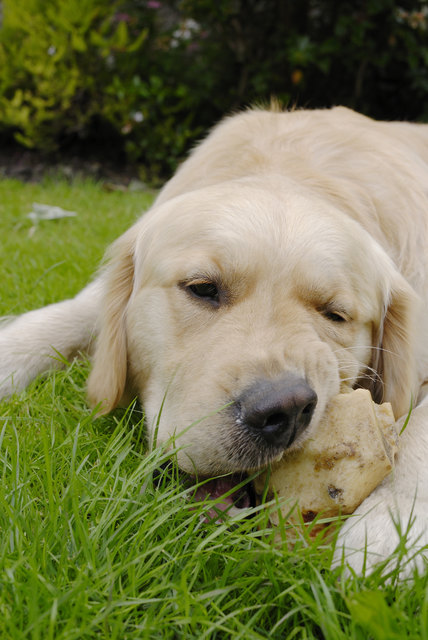 Foto: Foto: Fotolia/nickos