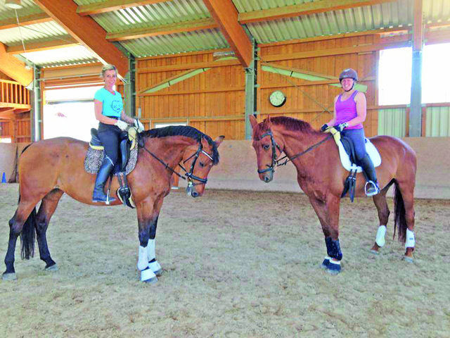 Das Zusammenspiel von Mensch und Pferd ist beim Reiten wichtig.