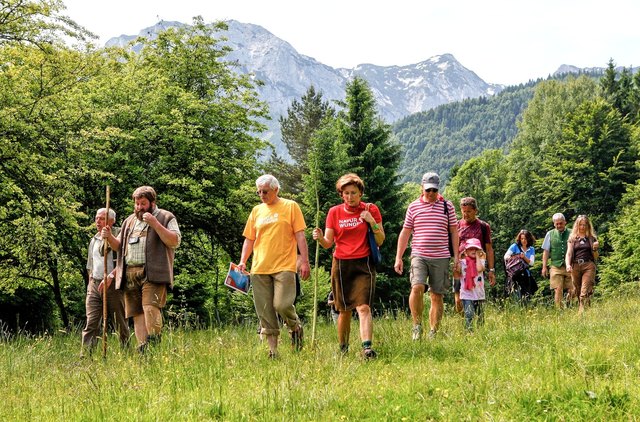 Natur erleben und begreifen in der Berg- und Talwelt zwischen Attersee und Traunsee.