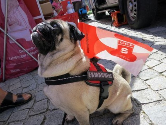 Foto: ORF