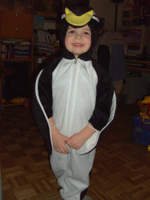 auch der pinguin liebt wasser sehr, das lieblingstier von dominik bittesehr