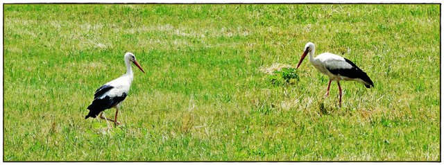 Hast eh alles richtig "Zugestellt"????