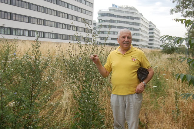 Kurt Eder zeigt, dass die Gräser mittlerweile so groß wie er sind - nämlich 1, 78 Meter.