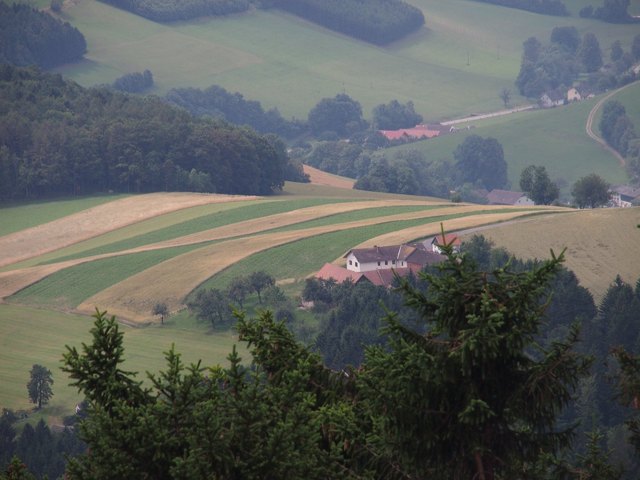 Streifenfelder