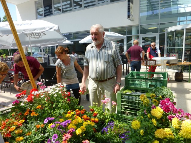 Herbert Strasser, Organisationsreferent des Bauernmarktes, mit Angelika Allerstorfer vor ihrem neuen Blumenstand. | Foto: Beverley Allen-Stingeder