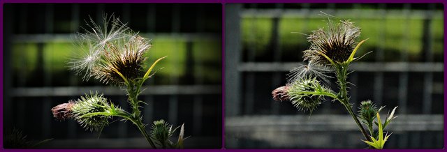  es wird "Verblasen"!!  Vollbildmodus empfohlen 