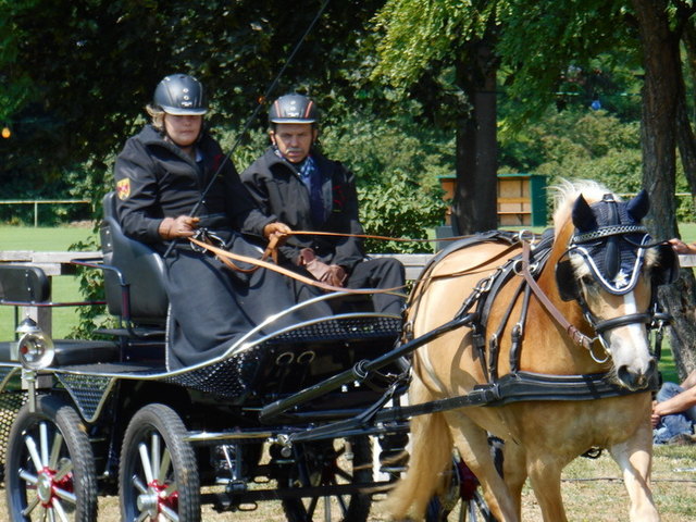 Laura Schmid mit Haflinger Mimi