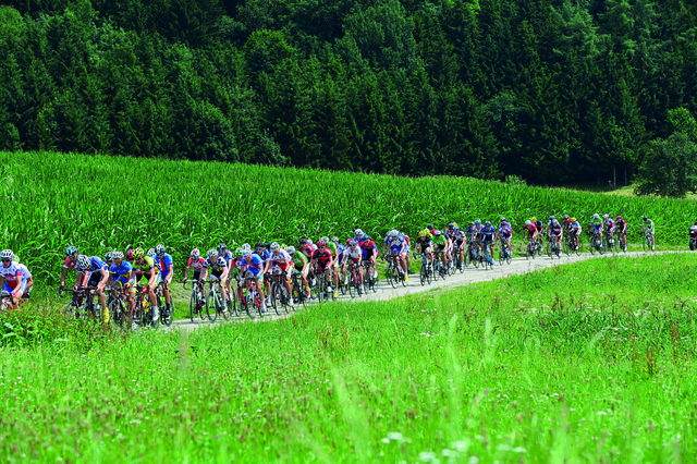 Foto: Foto: OÖ Radsportverband