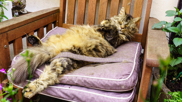 Angegurtet schläft sich´s sicherer :-)