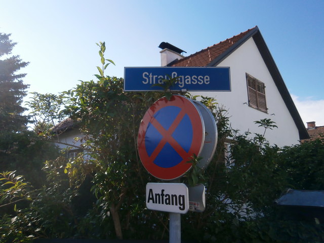 Die "Straußgasse" in Theresienfeld: Johann Strauß (Vater) widmete der freiheitlichen Legion den Marsch der Studenten-Legion. Sein Sohn "Schani" Strauß komponierte für die freiheitlichen Revolutionäre des Jahres 1848 den Freiheitslieder-Walzer und den Revolutionsmarsch.